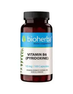 Vitamin B-6 10 mg | Pyridoxine