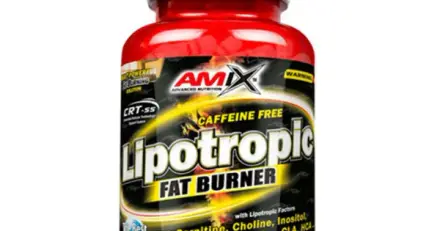 АМИКС ЛИПОТРОПИК ФЕТ БЪРНЪР капсули 100 броя / LIPOTROPIC FAT BURNER capsules 100