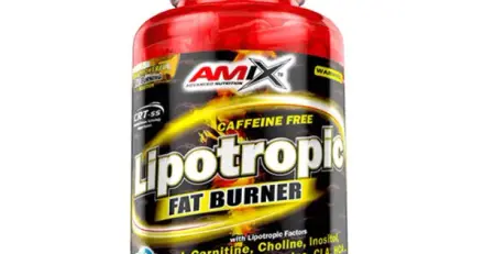 АМИКС ЛИПОТРОПИК ФЕТ БЪРНЪР капсули 200 броя / LIPOTROPIC FAT BURNER capsules 200