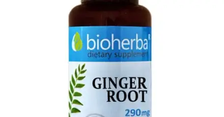 ДЖИНДЖИФИЛ КОРЕН БИОХЕРБА капсули 290 мг. 100 броя / BIOHЕRBA GINGER ROOT