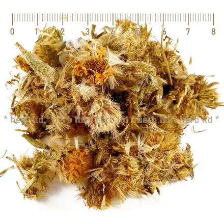 Арника Мексиканска цвят, Arnica Mexicana