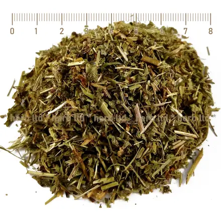 Вербена стрък – Върбинка, при стрес и безсъние, Verbena officinalis
