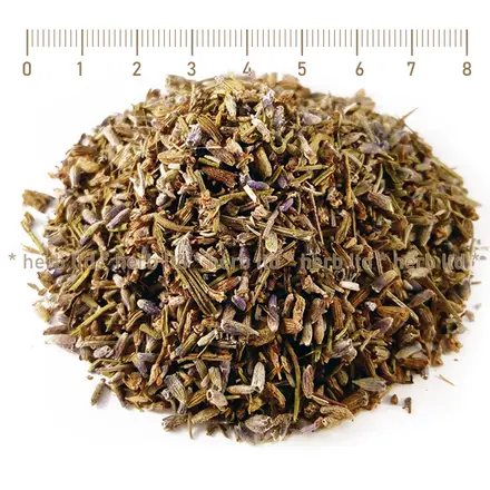 Лавандула сух цвят при стрес и безсъние, Lavandula angustifolia Mill