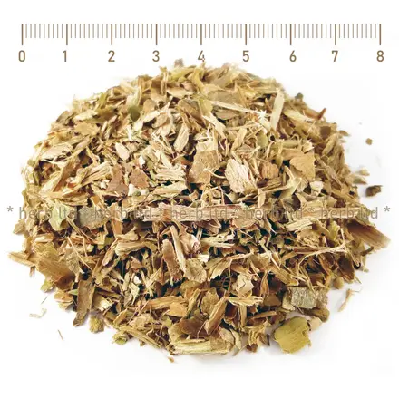 Леска кора - при разширени вени, Corylus avellana