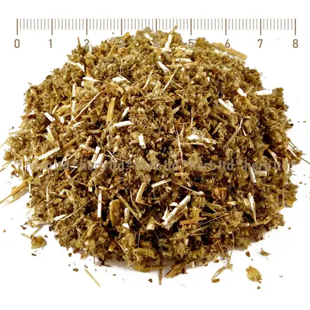 Пчелник стрък - при кашлица и храчки, Marrubium vulgare