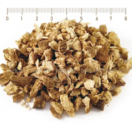 Решетка корен - при високо кръвно BOF, Carlina acanthifolia All.
