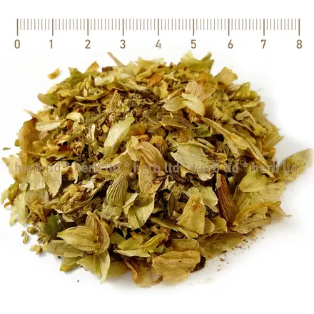 Хмел шишарки - билка за нерви, безсъние, Humulus lupulus