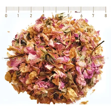 Роза маслодайна цвят - Розова, при запек и глисти, Rosa damascena