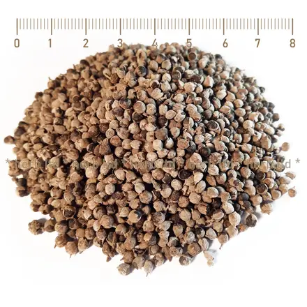 Витекс цели семена – Аврамово дърво, Vitex agnus castus