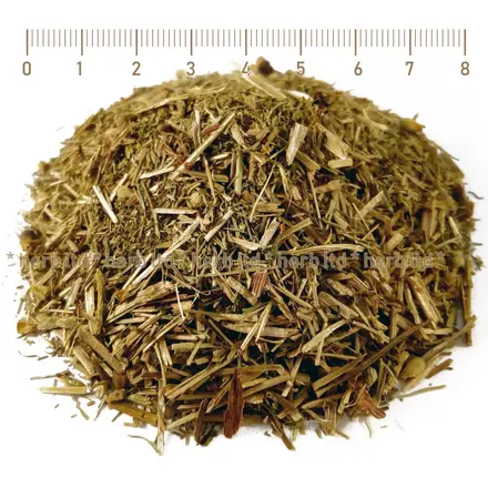 Горицвет стрък - за сърце, Adonis vernalis