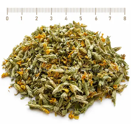 Иглика цвят - при грип и кашлица, Primula veris