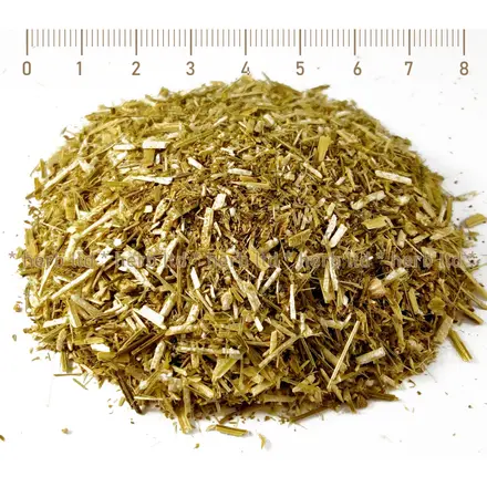 Жълта Комунига стрък - успокояващо, Melilotus officinalis