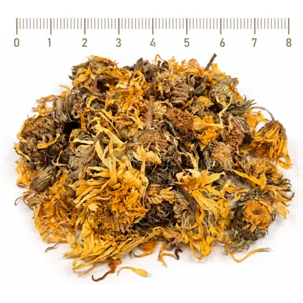 Невен цвят жълт, Calendula officinalis