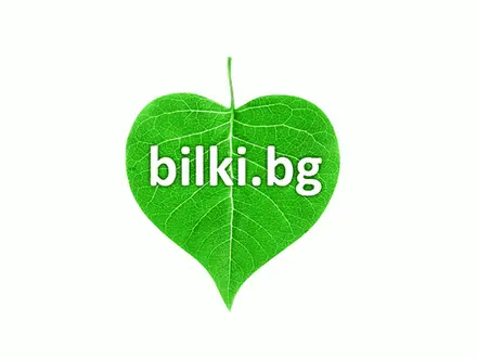 Черница лист екстракт при висока кръвна захар, Bioherba, 250 мг, 60 капсули