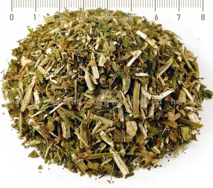 Клинавиче стрък с плод – Орлови нокти, за имунитет, Astragalus glycyphyllos