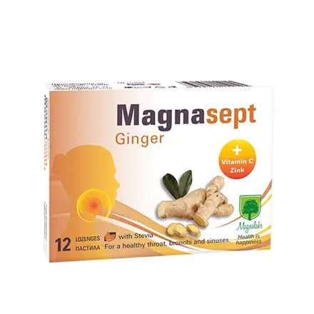 МАГНАЛАБС МАГНАСЕПТ ДЖИНДЖИФИЛ пастили 12 броя / MAGNALABS MAGNASEPT ginger