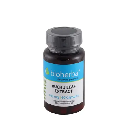 БИОХЕРБА БУЧУ ЛИСТ + ТИАМИН капсули 100 мг 60 броя / BIOHERBA BUCHU LEAF + THIAMINE
