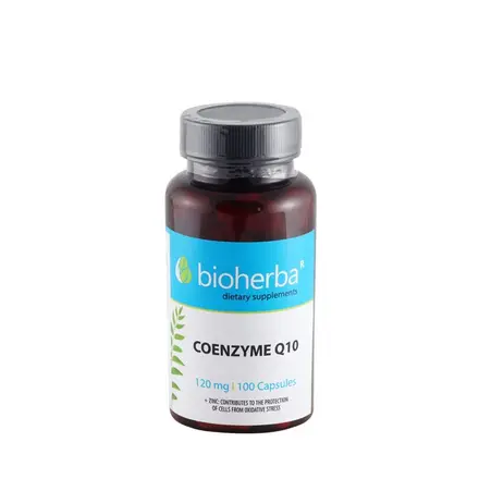 БИОХЕРБА КОЕНЗИМ Q10 + ЦИНК капсули 100 броя / BIOHERBA COENZYME Q10 + ZINC