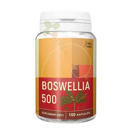 БОСВЕЛИЯ капсули 100 броя / NANGA BOSWELLIA