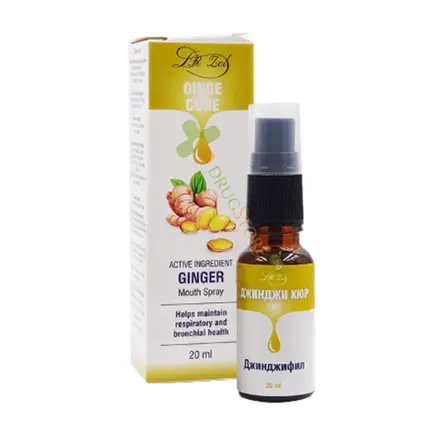 ДР. ЗОЛ ДЖИНДЖИКЮР СПРЕЙ 20 мл / DR. ZOL GINGECURE SPRAY