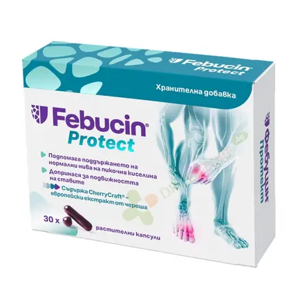 ФЕБУЦИН ПРОТЕКТ капсули 30 броя / FUDIVITTA FEBUCIN PROTECT