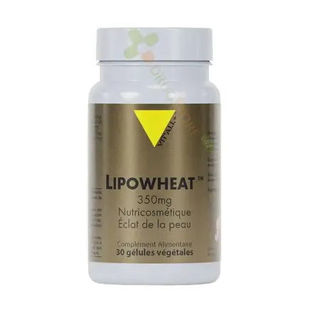 ФИТО СЕРАМИДИ капсули 30 броя / VIT`ALL+ PHYTO CERAMIDS