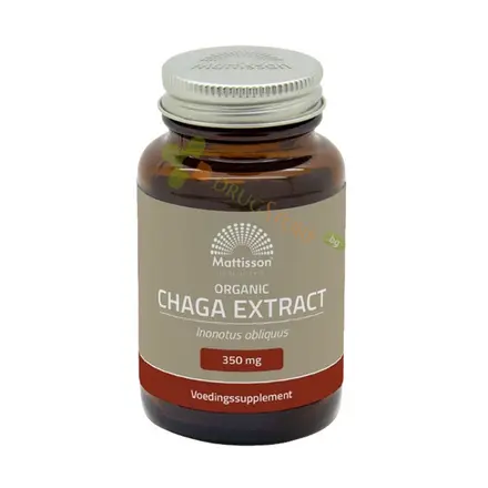 МАТИСЪН БИО ЧАГА капсули 350 мг 60 броя / MATTISSON HEALTHSTYLE ORGANIC CHAGA