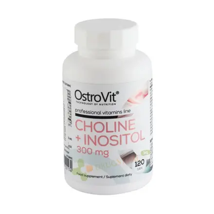 ОСТРОВИТ ХОЛИН + ИНОЗИТОЛ таблетки 120 броя / OSTROVIT CHOLINE + INOSITOL tablets