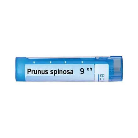 Boiron Prunus Spinosa 9 CH