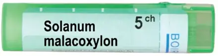 Solanum Malacooxylon 5 CH