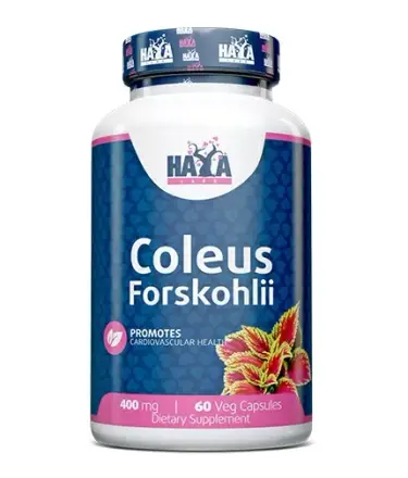 Coleus Forskohlii - 60 Vcaps HAYA Labs