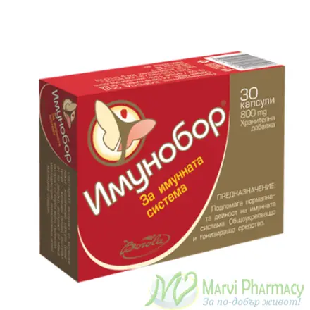 ИМУНОБОР ДЕЦА АКТИВ капс / Imunobor Kids Activ caps