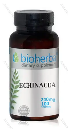 Bioherba, Ехинацея - за имунната система, 240 мг., 100 капс.