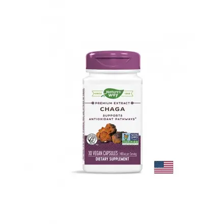 Chaga / Чага 480 mg x 30 капсули Nature’s Way