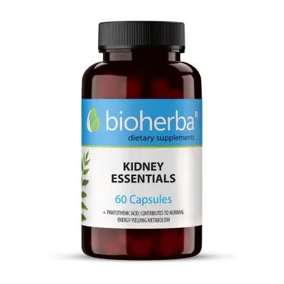 BIOHERBA KIDNEY ESSENTIALS / БИЛКОВА ФОРМУЛА ЗА БЪБРЕЦИ КАПС. Х60