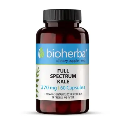 BIOHERBA KALE FULL SPECTRUM / КЕЙЛ (КЪДРАВО ЗЕЛЕ) 370МГ КАПС. Х60