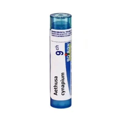 AETHUSA CYNAPIUM CH9