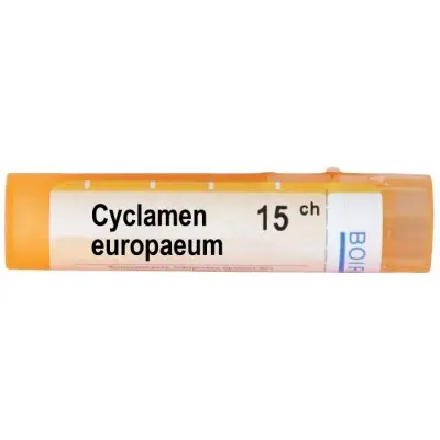 CYCLAMEN EUROPAEUM CH 15