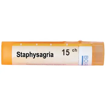 STAPHYSAGRIA 15CH
