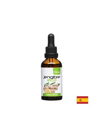 Jengibre Eco – Джинджифил (тинктура), 50 ml Artesania