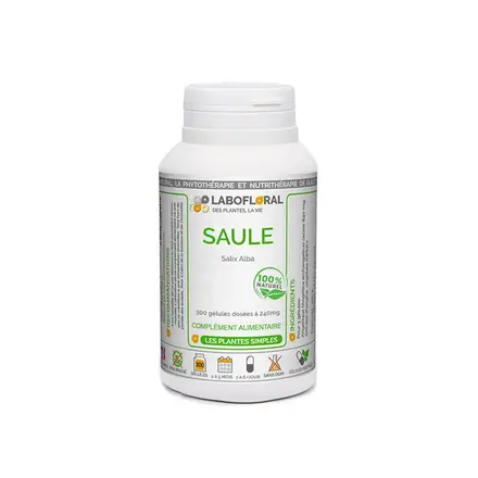 Имунитет - Бяла върба (кора) 240 mg, 50 капсули