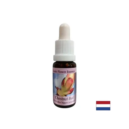 Премахва енергийните блокажи - Есенция Кестенови пъпки № 7, капки 15 ml