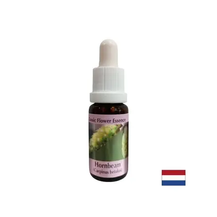 За повече енергия и мотивация - Есенция Габър № 17, капки 15 ml