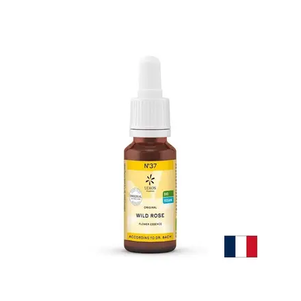 Цветна есенция Шипка (Wild Rose) N°37 – Жизненост и ангажираност при апатия, 20 ml капки
