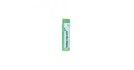СОЛИДАГО ВИРГА АУРЕА 5 CH / SOLIDAGO VIRGA AUREA 5 CH