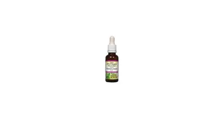 Natural Factors//Риган Масло Органик/30 ml/187 дози