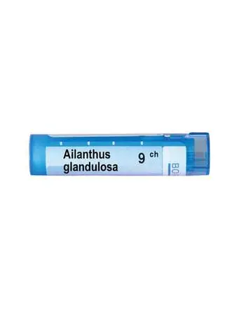 Boiron Ailanthus glandulosa / Аилантус гландулоза 9 CH