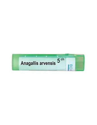 Boiron Anagallis arvensis / Анагалис арвенсис 5 CH