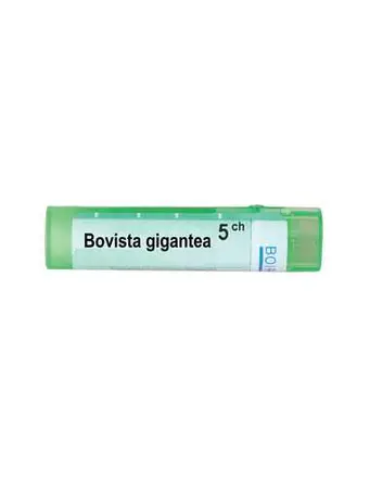 Boiron Bovista Gigantea / Бовиста гигантеа 5 CH