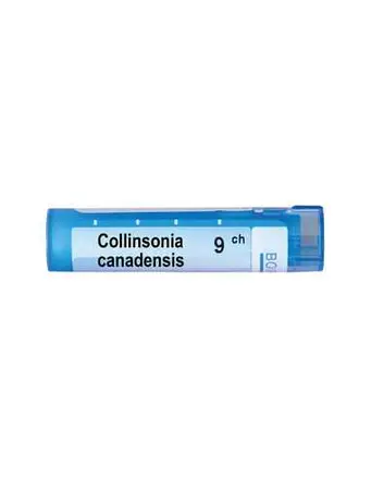 Boiron Collinsonia canadensis / Колинзониa канаденсис 9 CH
